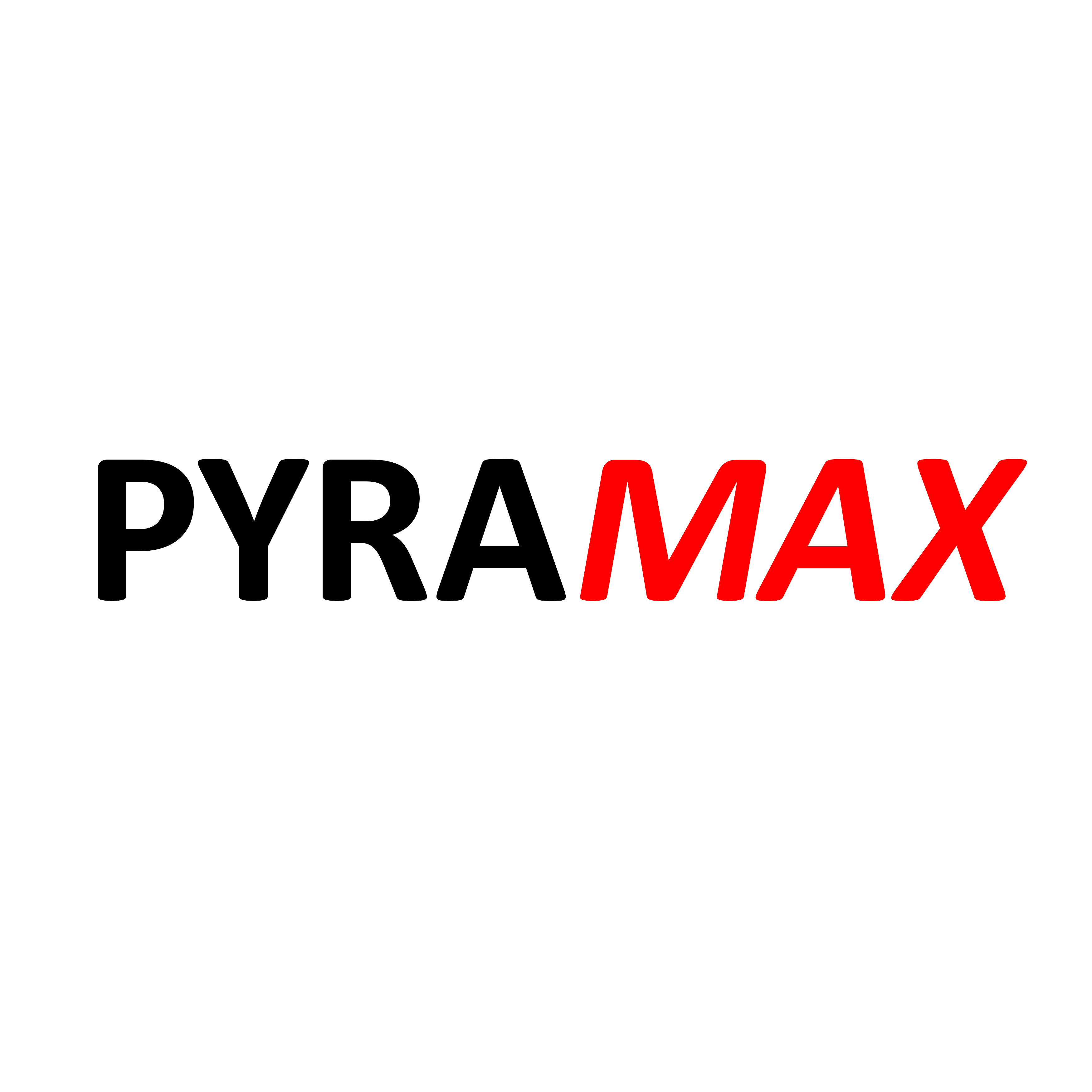 projet PYRAMAX